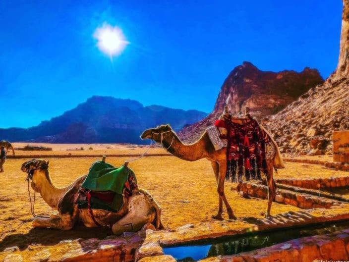 Moon City With Jeep Trips Вади Рум Екстериор снимка